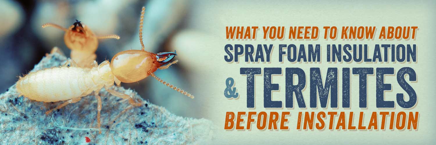 What You Need to Know About Spray Foam Insulation and Termites Before Installation