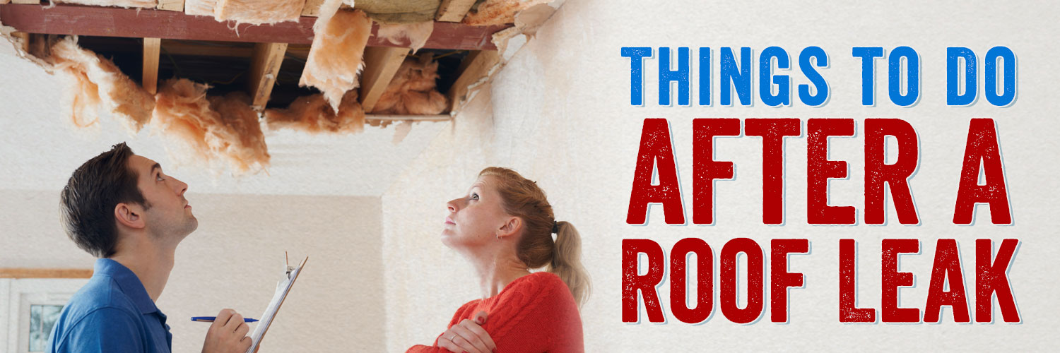 6 Things to Do After a Roof Leak