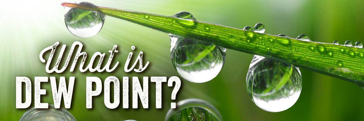 What is Dew Point in a Home?