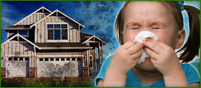 reduce allergens in home