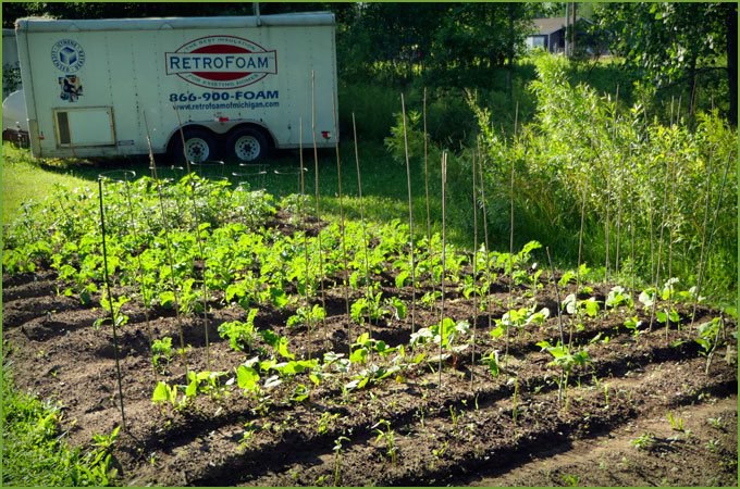 RetroFoam of Michigan Staff Come Together to Start Company Garden
